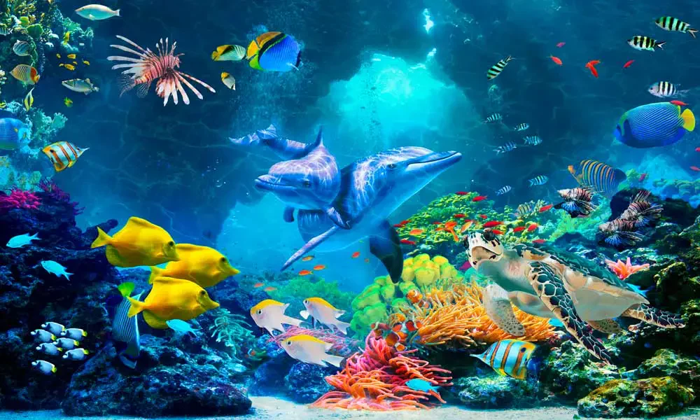 A vibrant underwater scene featuring colorful coral, tropical fish, dolphins, and a turtle swimming through sunlit waters.